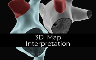 3D Map Interpretation – 2