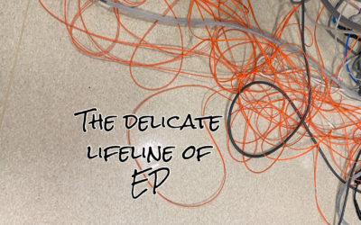 The Delicate Lifeline of EP